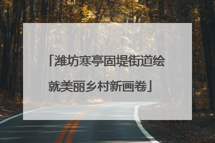 潍坊寒亭固堤街道绘就美丽乡村新画卷