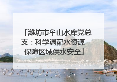 潍坊市牟山水库党总支：科学调配水资源 保障区域供水安全
