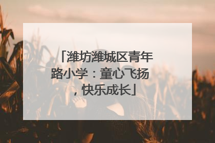 潍坊潍城区青年路小学：童心飞扬，快乐成长