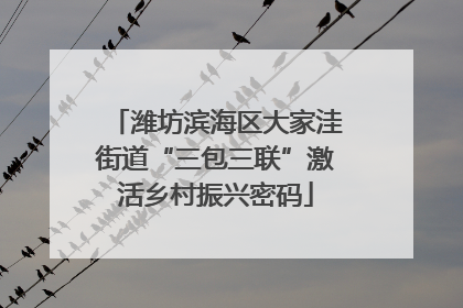潍坊滨海区大家洼街道“三包三联”激活乡村振兴密码