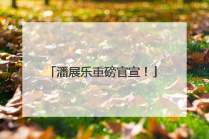 潘展乐重磅官宣！
