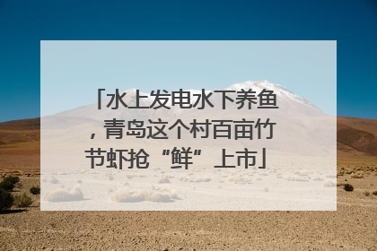 水上发电水下养鱼，青岛这个村百亩竹节虾抢“鲜”上市