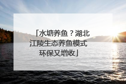 水塘养鱼？湖北江陵生态养鱼模式环保又增收