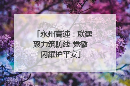 永州高速：联建聚力筑防线 党徽闪耀护平安