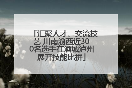 汇聚人才、交流技艺 川南渝西近300名选手在酒城泸州展开技能比拼