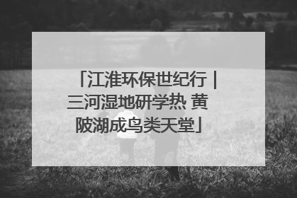 江淮环保世纪行｜三河湿地研学热 黄陂湖成鸟类天堂
