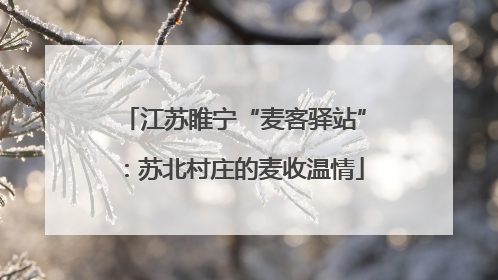 江苏睢宁“麦客驿站”：苏北村庄的麦收温情