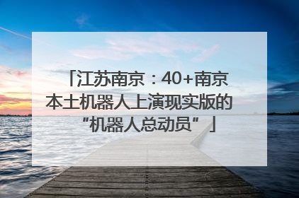 江苏南京：40+南京本土机器人上演现实版的“机器人总动员”