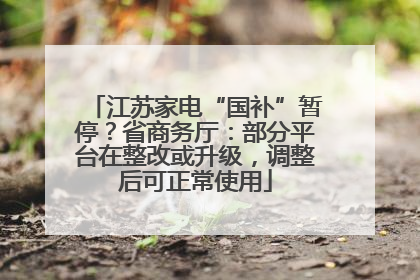 江苏家电“国补”暂停？省商务厅：部分平台在整改或升级，调整后可正常使用