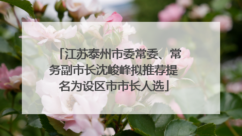 江苏泰州市委常委、常务副市长沈峻峰拟推荐提名为设区市市长人选