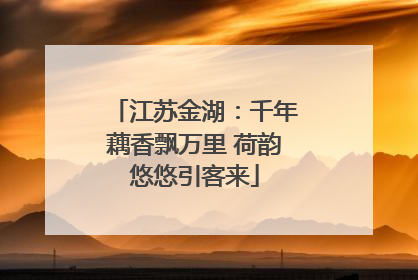 江苏金湖：千年藕香飘万里 荷韵悠悠引客来