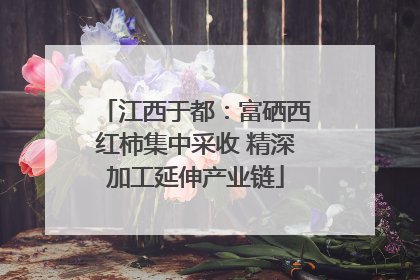 江西于都：富硒西红柿集中采收 精深加工延伸产业链