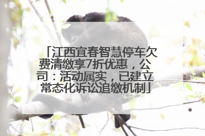 江西宜春智慧停车欠费清缴享7折优惠，公司：活动属实，已建立常态化诉讼追缴机制