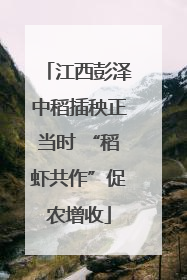 江西彭泽中稻插秧正当时 “稻虾共作”促农增收