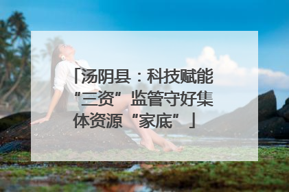 汤阴县：科技赋能“三资”监管守好集体资源“家底”