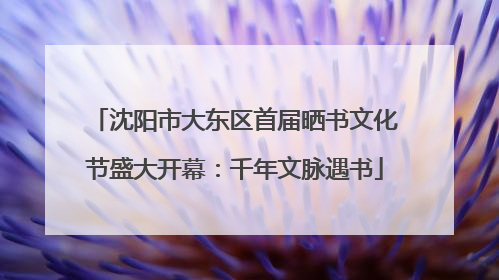 沈阳市大东区首届晒书文化节盛大开幕：千年文脉遇书