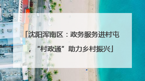 沈阳浑南区：政务服务进村屯，“村政通”助力乡村振兴
