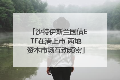 沙特伊斯兰国债ETF在港上市 两地资本市场互动频密