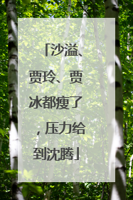 沙溢、贾玲、贾冰都瘦了，压力给到沈腾