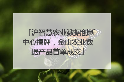 沪智慧农业数据创新中心揭牌，金山农业数据产品首单成交