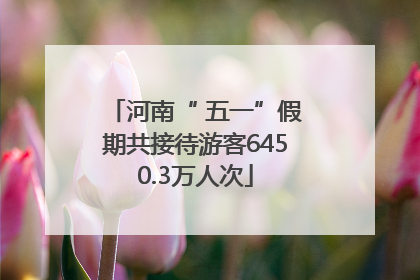 河南“ 五一”假期共接待游客6450.3万人次