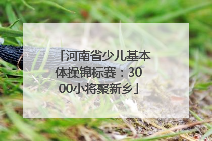 河南省少儿基本体操锦标赛：3000小将聚新乡