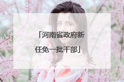 河南省政府新任免一批干部