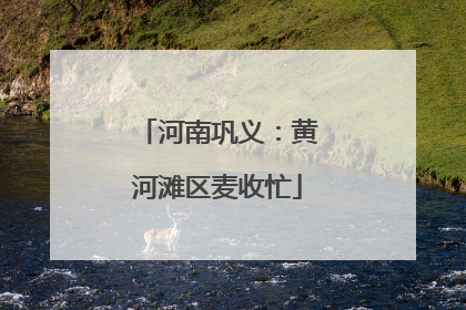 河南巩义：黄河滩区麦收忙