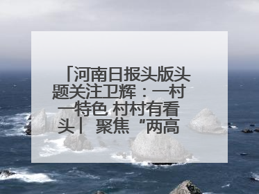 河南日报头版头题关注卫辉：一村一特色 村村有看头 ︳聚焦“两高四着力”·一“县”观察