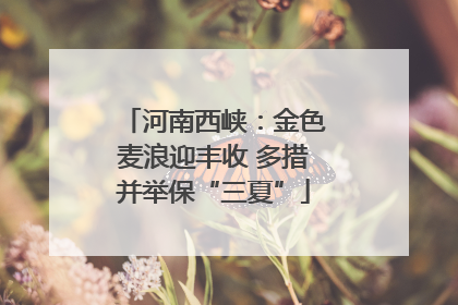 河南西峡：金色麦浪迎丰收 多措并举保“三夏”