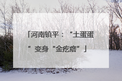 河南镇平：“土蛋蛋”变身“金疙瘩”