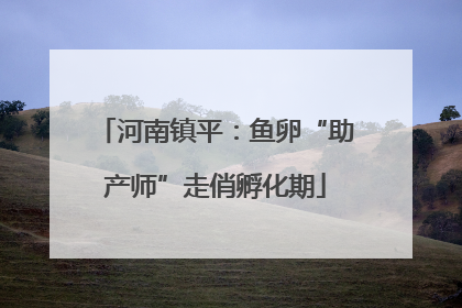 河南镇平：鱼卵“助产师”走俏孵化期