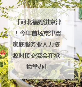 河北福嫂进京津！今年首场京津冀家庭服务业人力资源对接交流会在承德举办