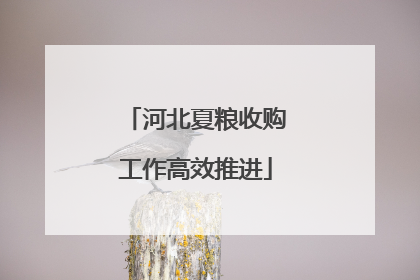 河北夏粮收购工作高效推进