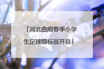 河北曲周春季小学生足球锦标赛开幕