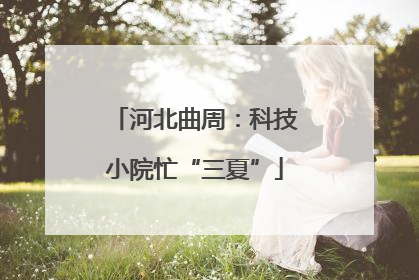 河北曲周：科技小院忙“三夏”
