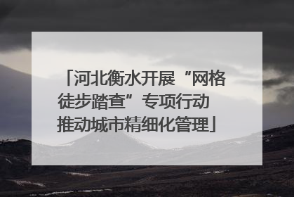 河北衡水开展“网格徒步踏查”专项行动 推动城市精细化管理