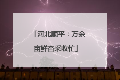河北顺平：万余亩鲜杏采收忙