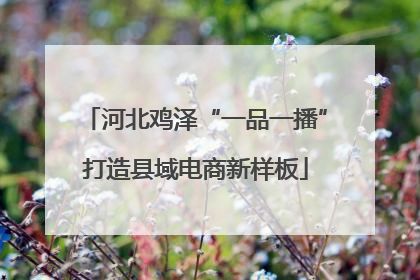 河北鸡泽“一品一播”打造县域电商新样板