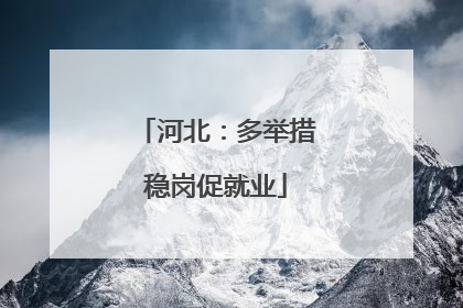 河北：多举措稳岗促就业