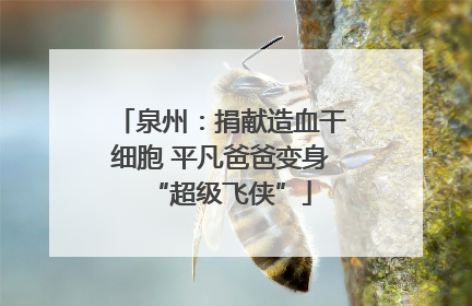 泉州：捐献造血干细胞 平凡爸爸变身“超级飞侠”