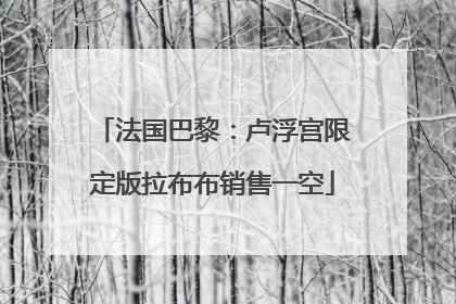 法国巴黎：卢浮宫限定版拉布布销售一空