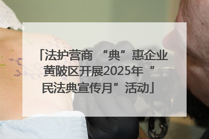 法护营商 “典”惠企业 黄陂区开展2025年“民法典宣传月”活动