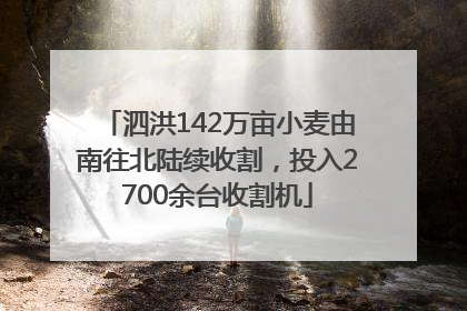 泗洪142万亩小麦由南往北陆续收割，投入2700余台收割机