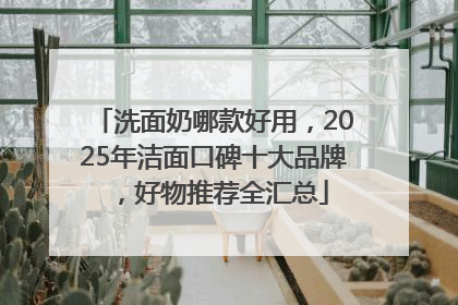 洗面奶哪款好用，2025年洁面口碑十大品牌，好物推荐全汇总