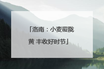 洛南：小麦覆陇黄 丰收好时节