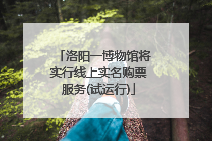 洛阳一博物馆将实行线上实名购票服务(试运行)