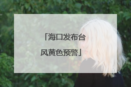海口发布台风黄色预警