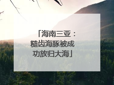 海南三亚：糙齿海豚被成功放归大海