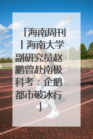 海南周刊丨海南大学副研究员赵鹏曾赴南极科考：企鹅都市破冰行